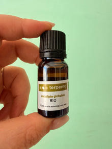 Eucalyptus globulus Essential Oil (bio) 10ml 
