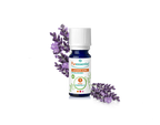Óleo Essencial de Lavanda Latifolia 10ml bio | Lavandula Latifola