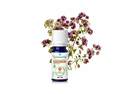 Óleo Essencial de Manjerona 5ml bio | Origanum majorana
