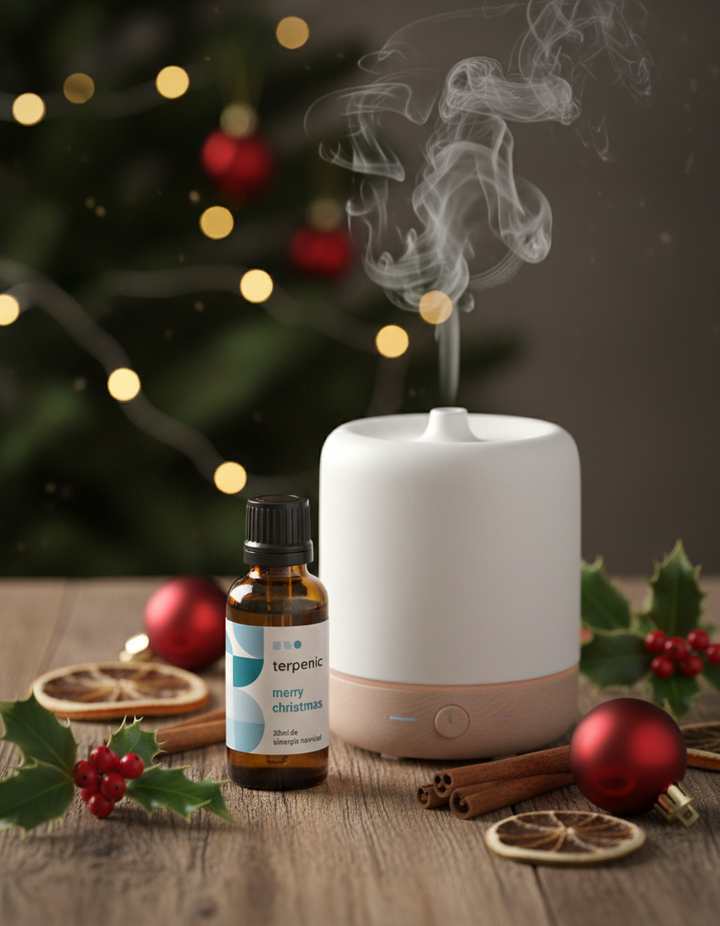 Noël diffusion synergie 30ML 