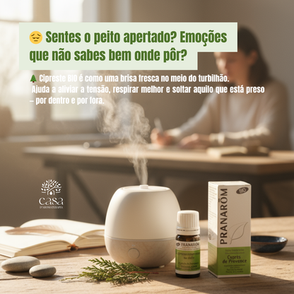 Óleo Essencial de Cipreste | Cupressus sempervirens | BIO | 5ml