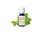 Óleo Essencial de Orégão Compacto 5ml bio | Origanum compactum (Validade 03/26)