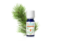 Óleo Essencial de Pinheiro Silvestre 5ml bio | Pinus sylvestris