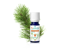 Óleo Essencial de Pinheiro Silvestre 5ml bio | Pinus sylvestris