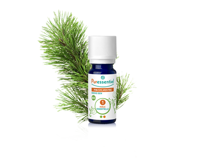 Óleo Essencial de Pinheiro Silvestre 5ml bio | Pinus sylvestris