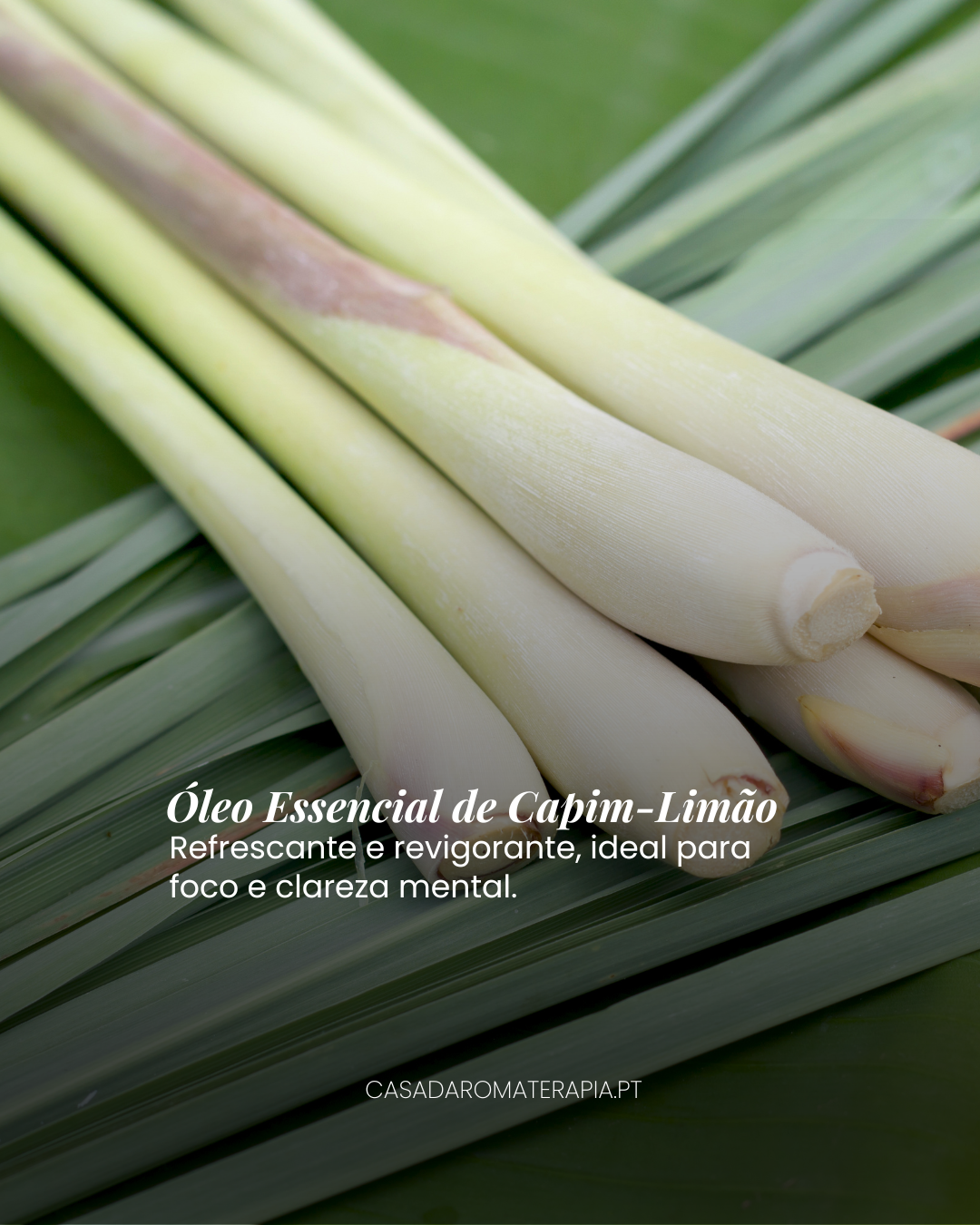 Top 3 Óleos Essenciais: Energéticos