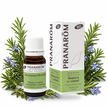 Óleo Essencial de Alecrim | Rosmarinus officinalis | qt. Cineol | BIO | 10ml | Pranarôm