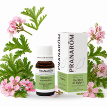 Óleo Essencial de Gerânio do Egito | Pelargonium graveolens | 10ml | Pranarôm