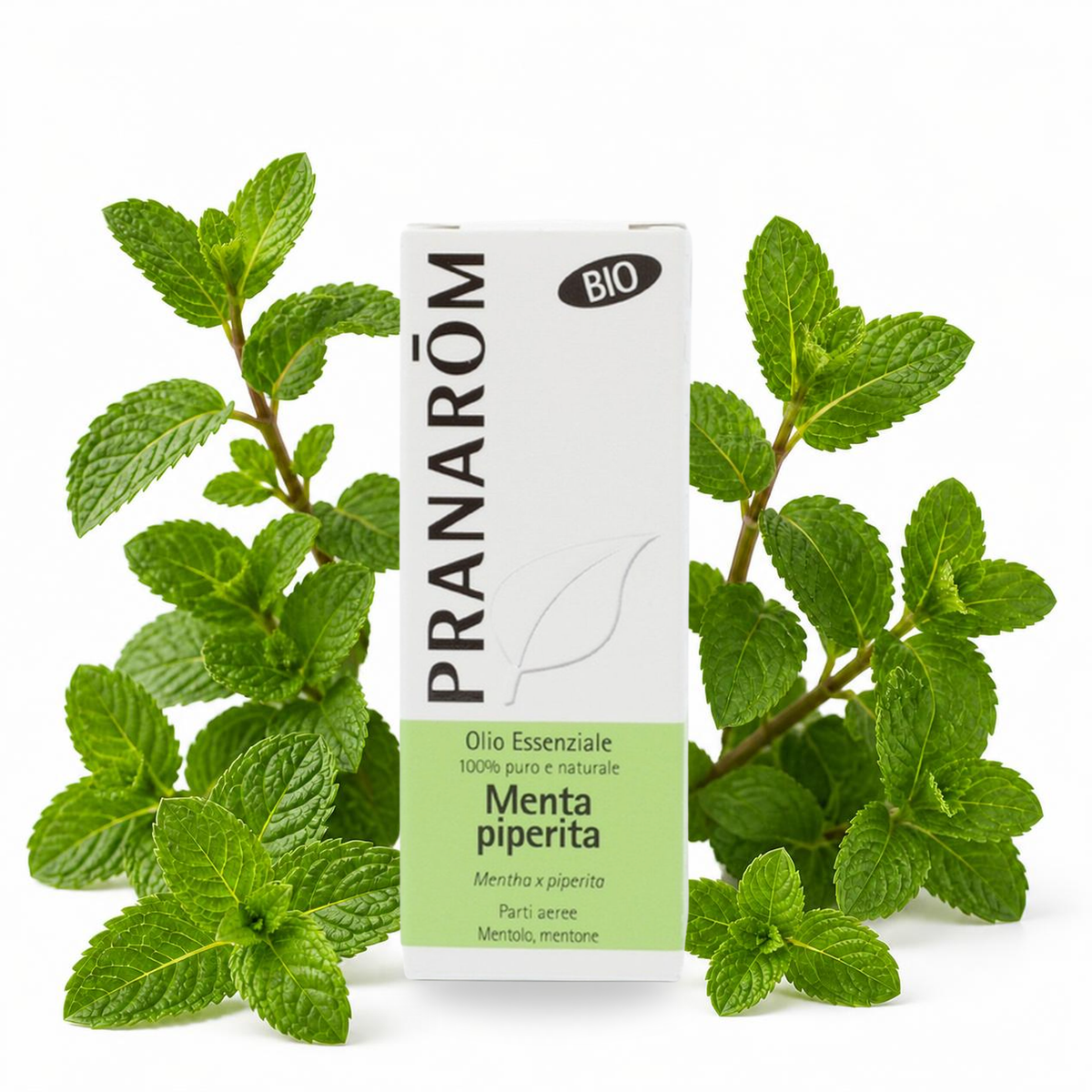 Óleo Essencial de Hortelã-Pimenta | Mentha piperita | BIO | 10ml | Pranarôm