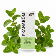 Óleo Essencial de Hortelã-Pimenta | Mentha piperita | BIO | 10ml | Pranarôm