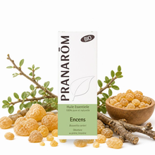 Óleo Essencial de Incenso (olíbano) | Boswellia carteri | BIO | 5ml | Pranarôm