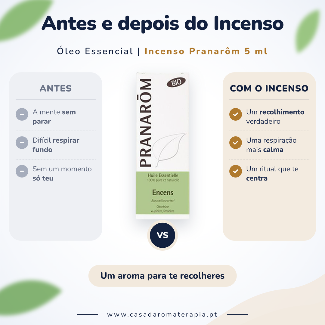 Óleo Essencial de Incenso (olíbano) | Boswellia carteri | BIO | 5ml | Pranarôm