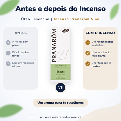Óleo Essencial de Incenso (olíbano) | Boswellia carteri | BIO | 5ml | Pranarôm