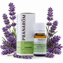 Óleo Essencial de Lavanda | Lavandula angustifolia | BIO | 10ml | Pranarôm