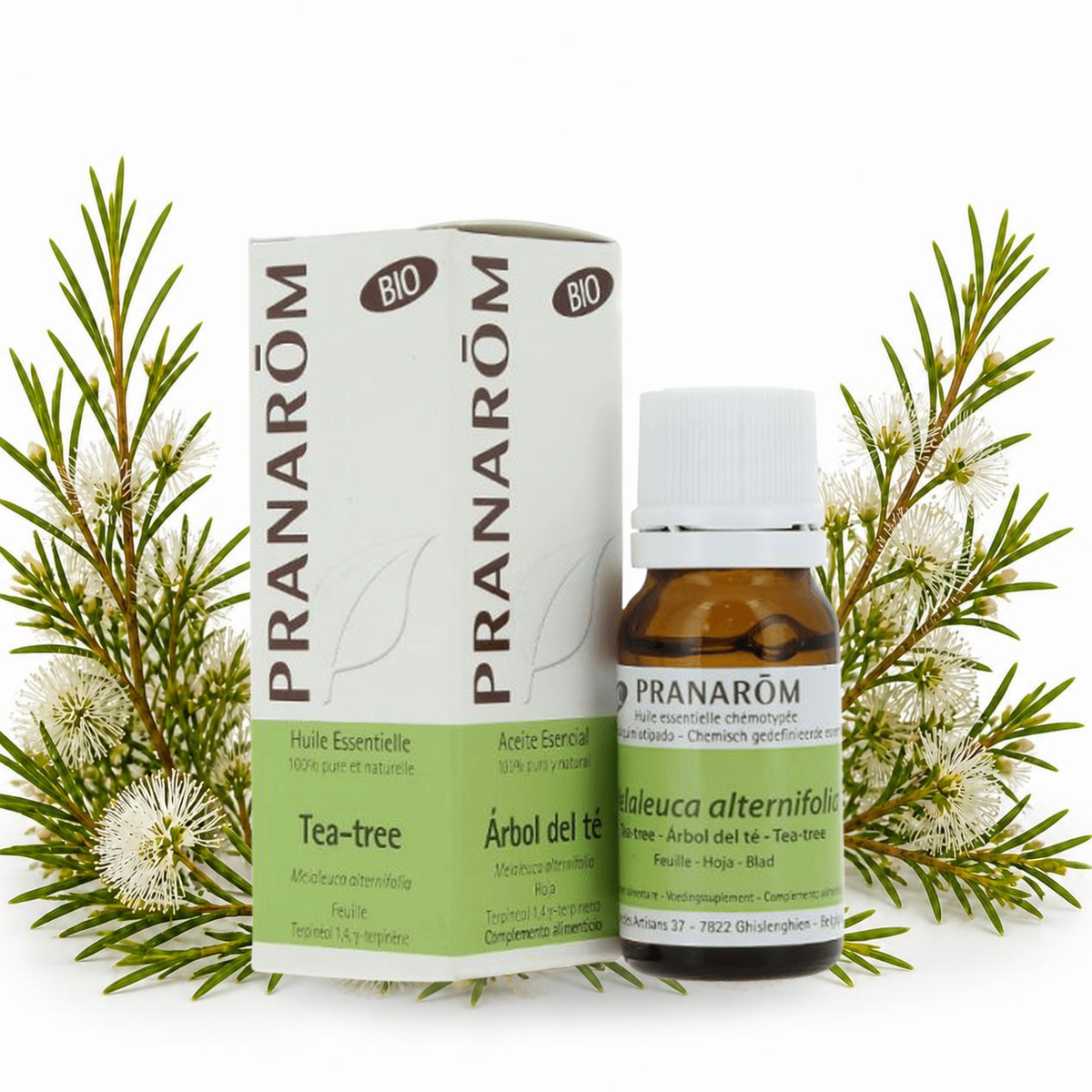 Óleo Essencial de Árvore do Chá (Tea tree) | Melaleuca alternifolia | BIO | 10ml | Pranarôm