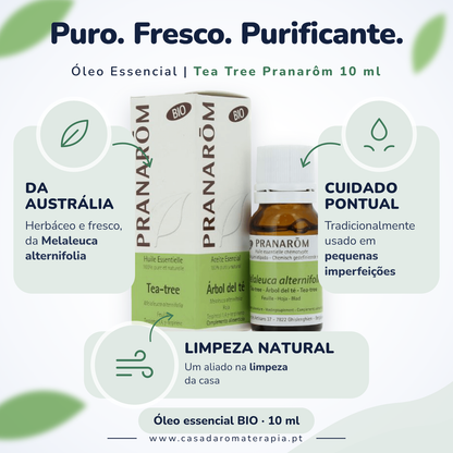 Óleo Essencial de Árvore do Chá (Tea tree) | Melaleuca alternifolia | BIO | 10ml | Pranarôm