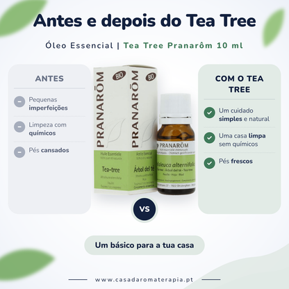 Óleo Essencial de Árvore do Chá (Tea tree) | Melaleuca alternifolia | BIO | 10ml | Pranarôm