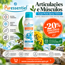 PROMO-OUT26