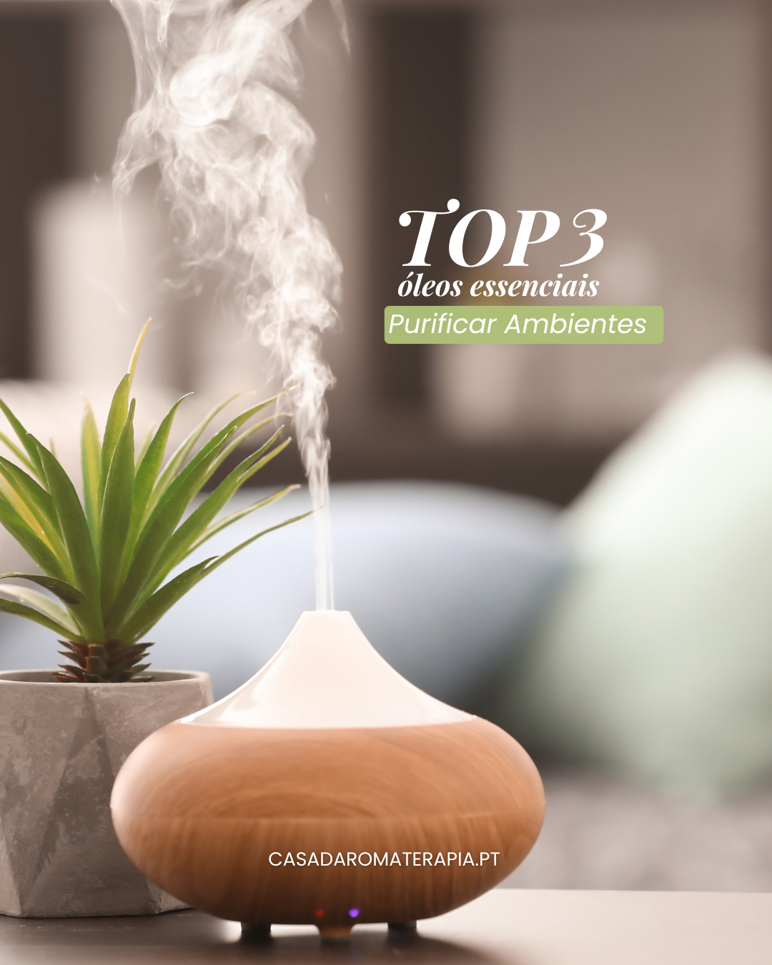 Top 3 Óleos Essenciais: Purificar ambientes