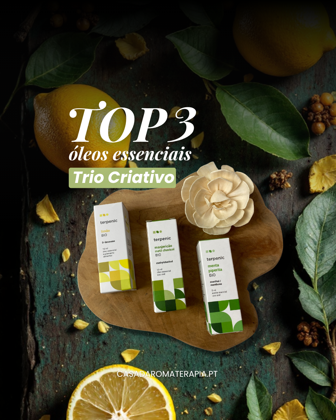 Top 3 Óleos Essenciais: Trio Criativo