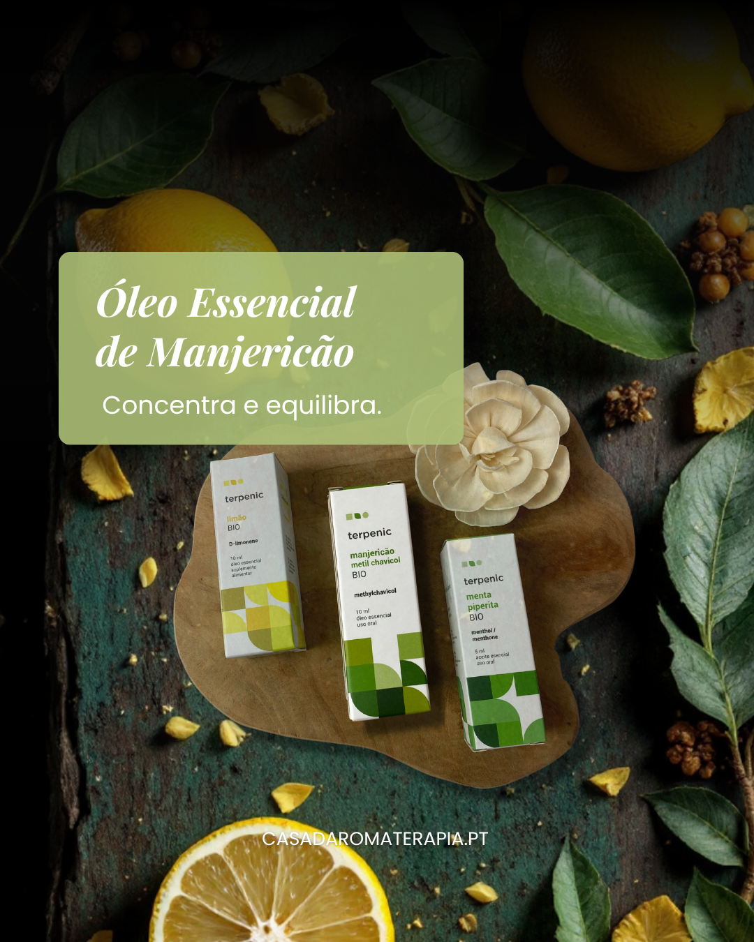 Top 3 Óleos Essenciais: Trio Criativo