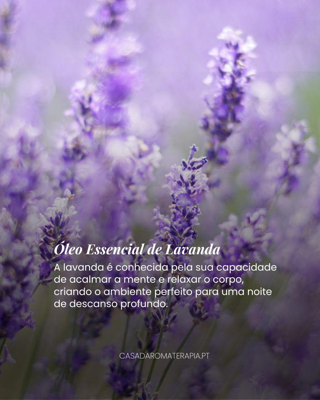 Top 3 Óleos Essencias: Sono profundo