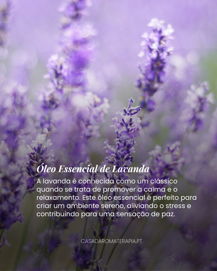 Top 3 Óleos Essenciais: Calma e Relaxamento