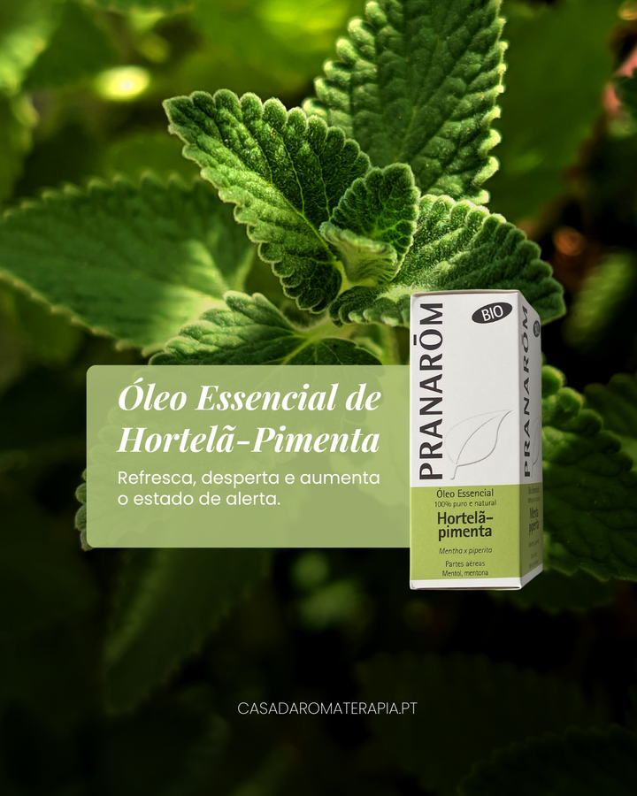 TOP 3 Óleos Essenciais: Clareza Mental