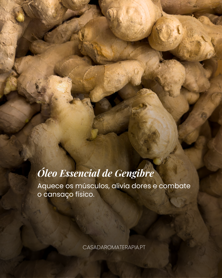 TOP 3 Óleos Essenciais: Recuperação Física