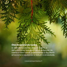 Top 3 Óleos Essenciais: Deixar de Fumar