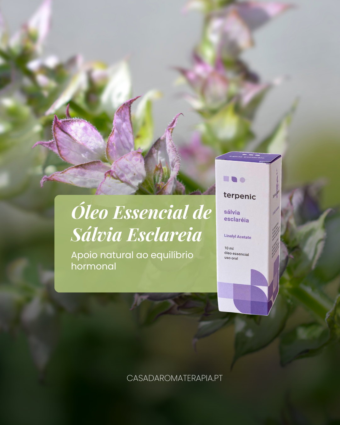 Top 3 Óleos Essenciais: Menopausa