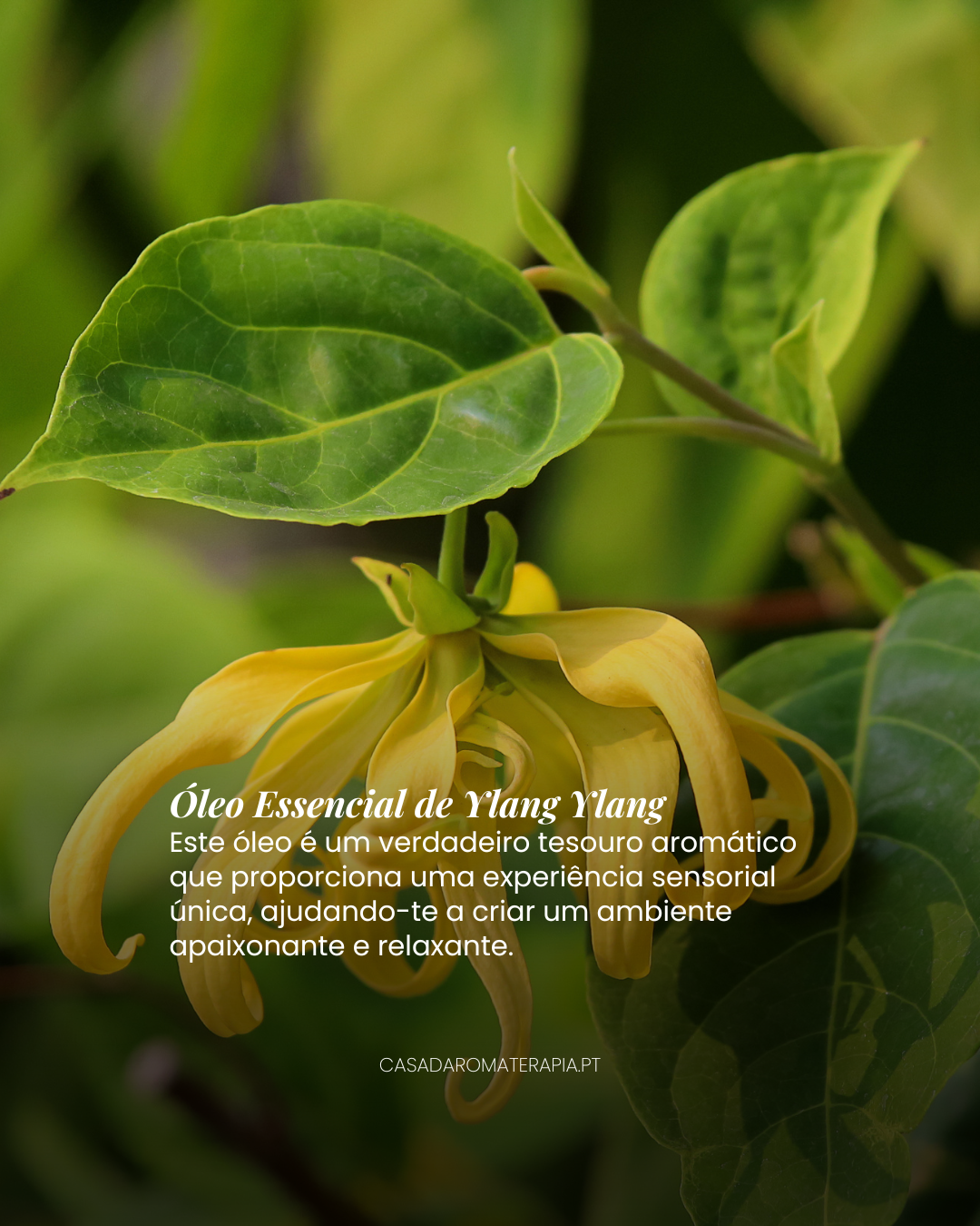 Kit Conexão e Relaxamento para Casais