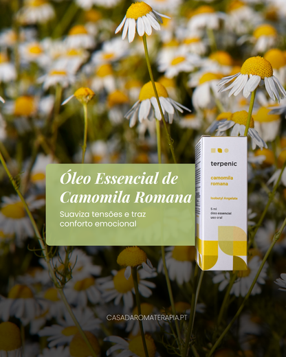 Top 3 Óleos Essenciais para Relaxamento