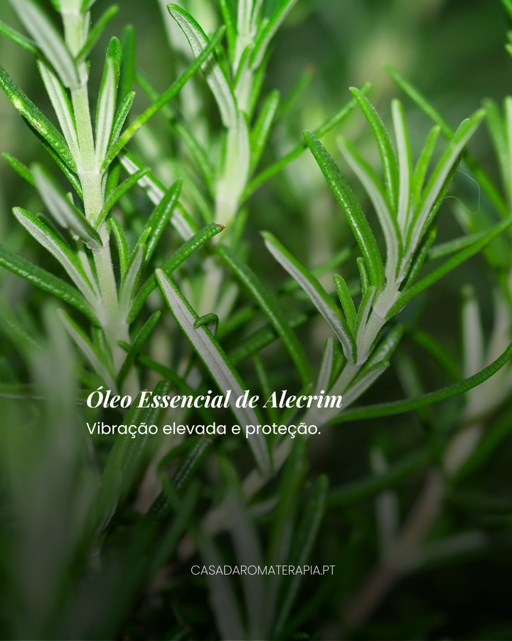 Top 3 Óleos Essenciais: Limpezas Energéticas