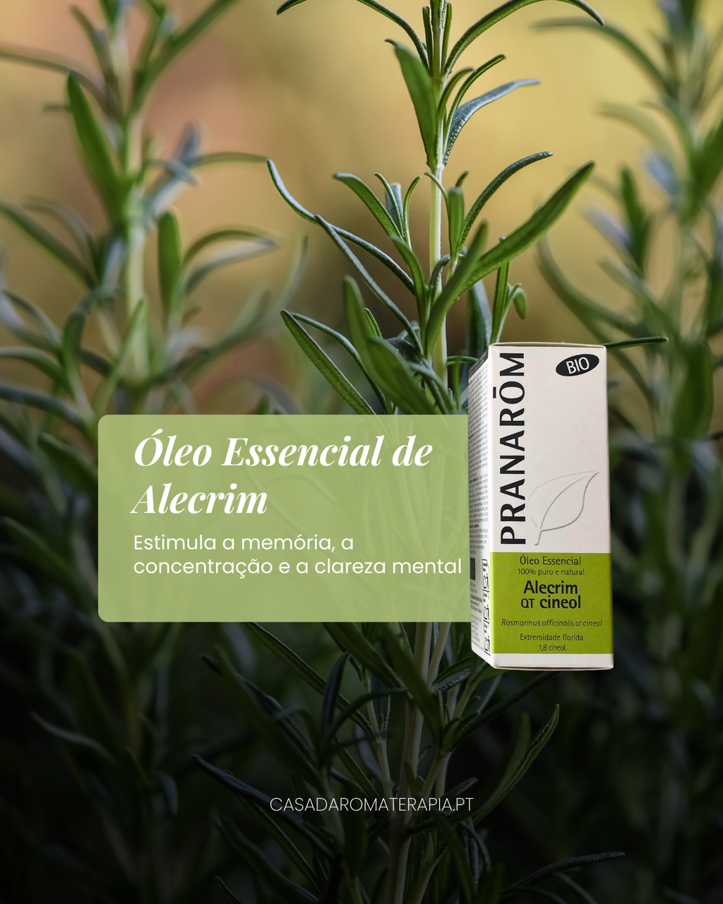 TOP 3 Óleos Essenciais: Clareza Mental