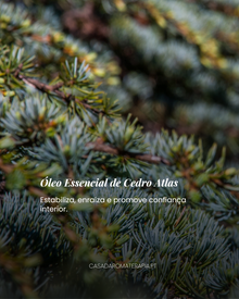 Top 3 Óleos Essenciais: Trio da Renovação