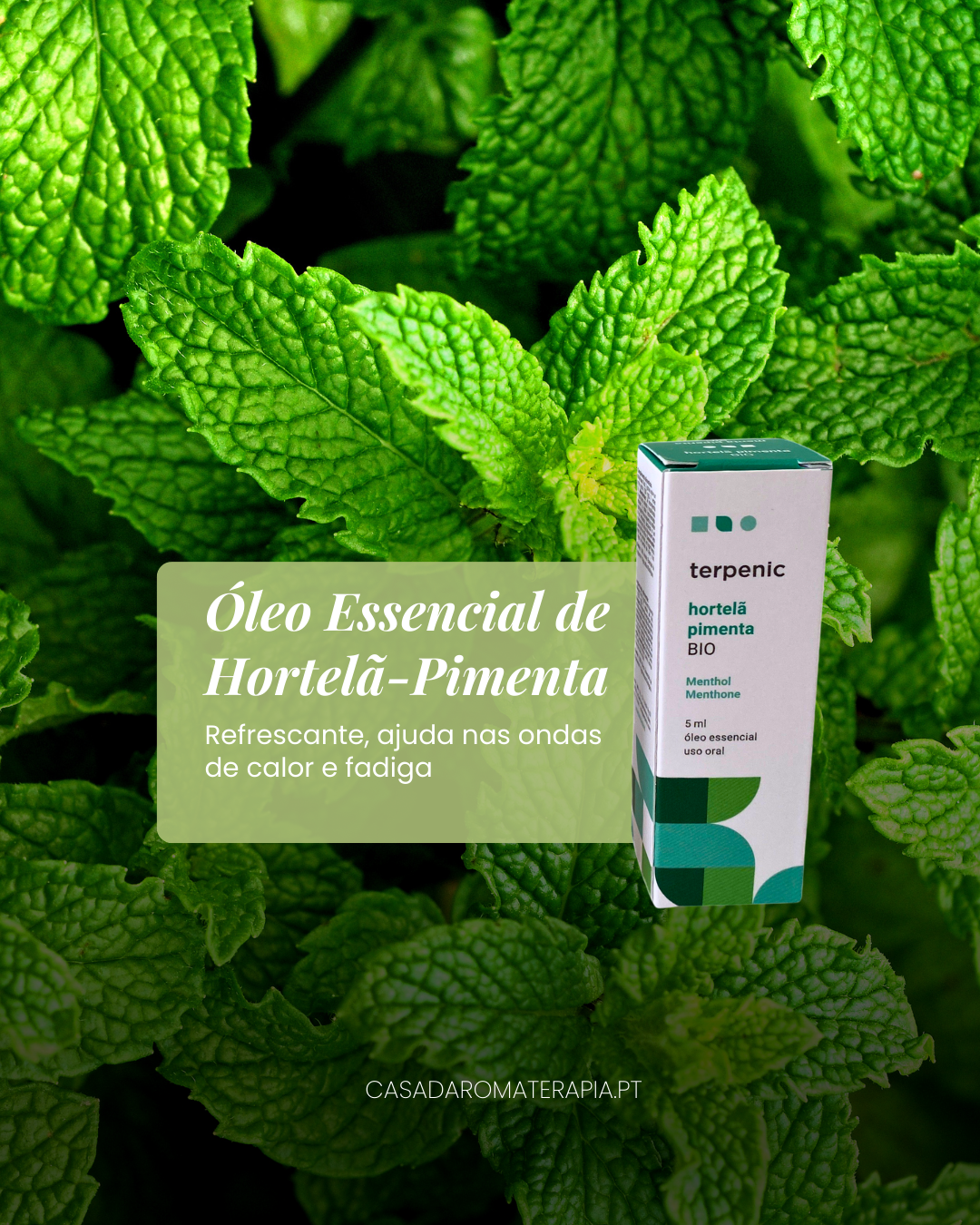 Top 3 Óleos Essenciais: Menopausa