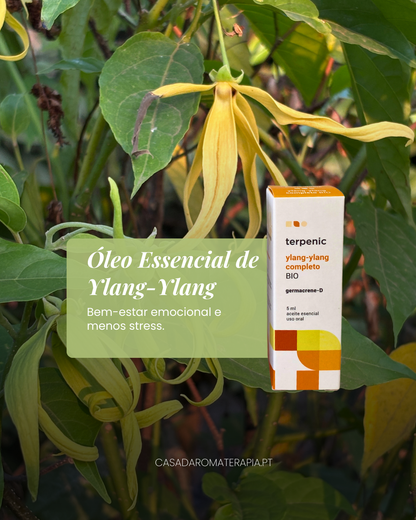 TOP 3 Óleos Essenciais: Mulher Poderosa