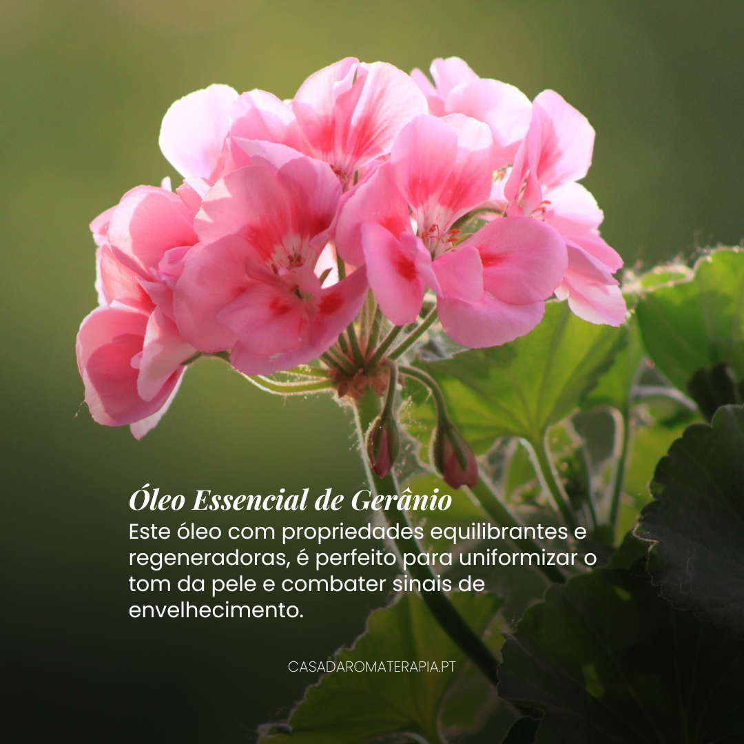 KIT Cuidados com a Pele