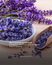 Top 3 Óleos Essenciais: Limpezas da Casa