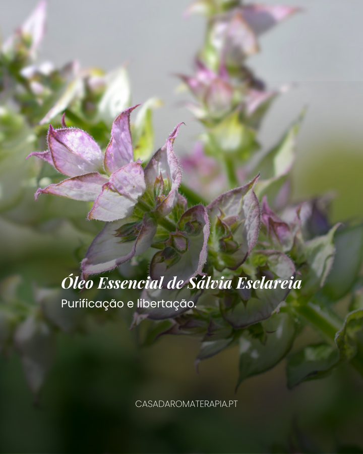 Top 3 Óleos Essenciais: Limpezas Energéticas