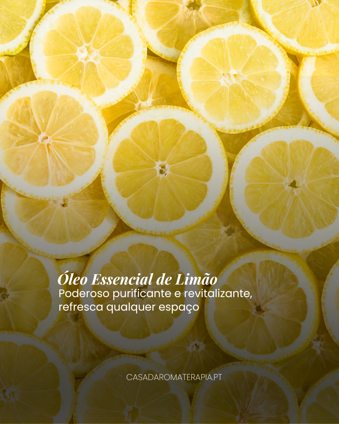 Top 3 Óleos Essenciais: Purificar ambientes