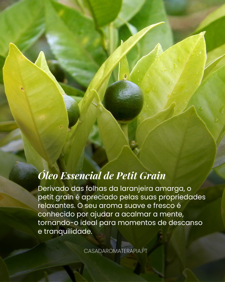 Top 3 Óleos Essenciais: Calma e Relaxamento