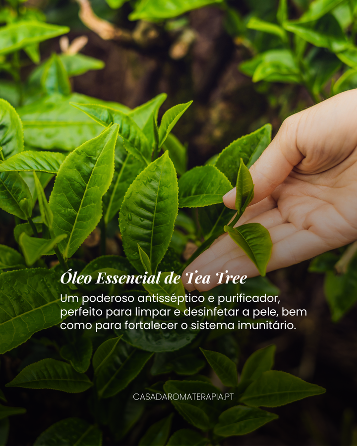 Top 3 Óleos Essenciais: Farmácia Natural (+receitas)