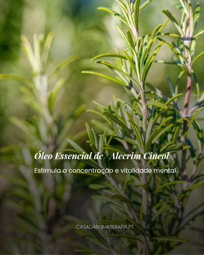 Top 3 Óleos Essenciais: Trio da Renovação