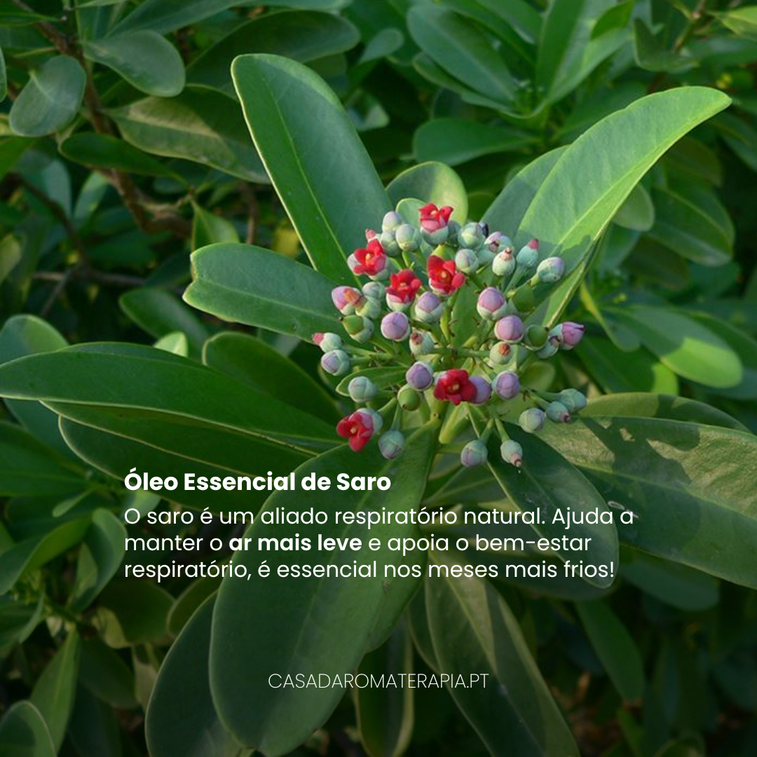 Top 3 Óleos Essenciais: Difusão infantil