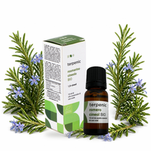 Óleo Essencial de Alecrim Cineol BIO Terpenic 10 ml