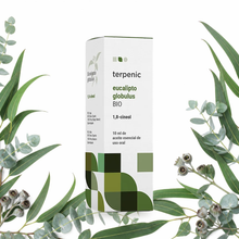 Óleo Essencial de Eucalipto Globulus BIO Terpenic 10 ml