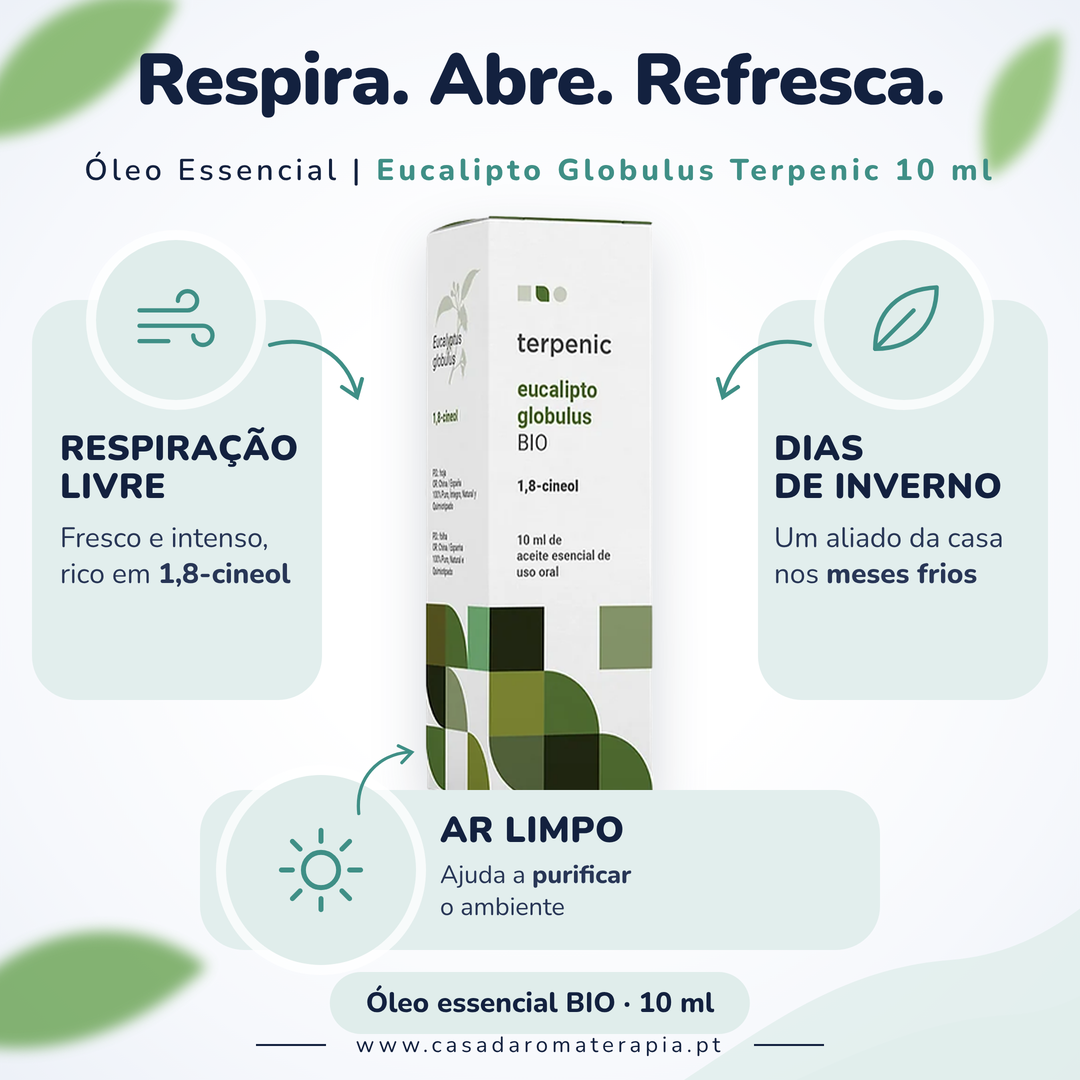 Eucalipto Globulus Terpenic: benefícios