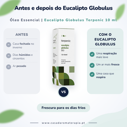 Eucalipto Globulus Terpenic: antes e depois